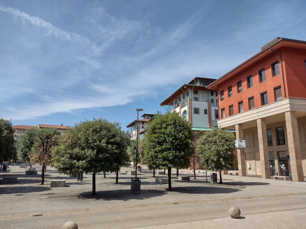 VISIONE PERIFERICA – Quartiere 5