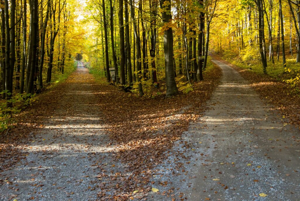 TROVARE LA DIREZIONE